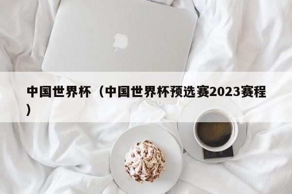 中国世界杯（中国世界杯预选赛2023赛程）